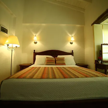 Homestay La Mia Casa