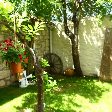La Mia Casa Homestay *